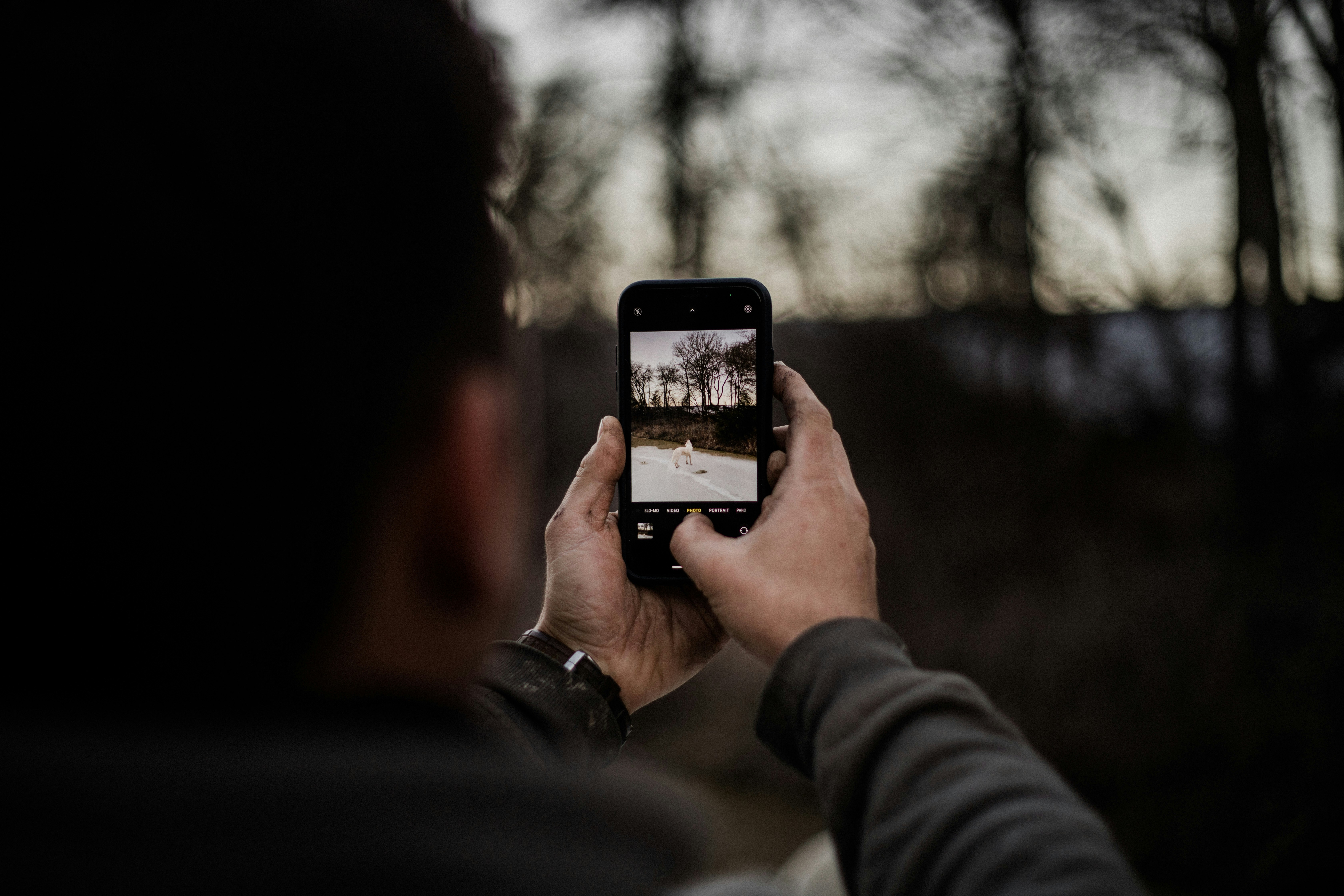 person holding black smartphone taking photo of trees during daytime